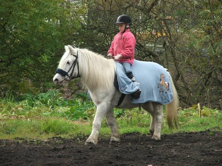 Anden særlig race Emil - R.I.P marts 2011 - Emil har fået nyt tæppe billede 10