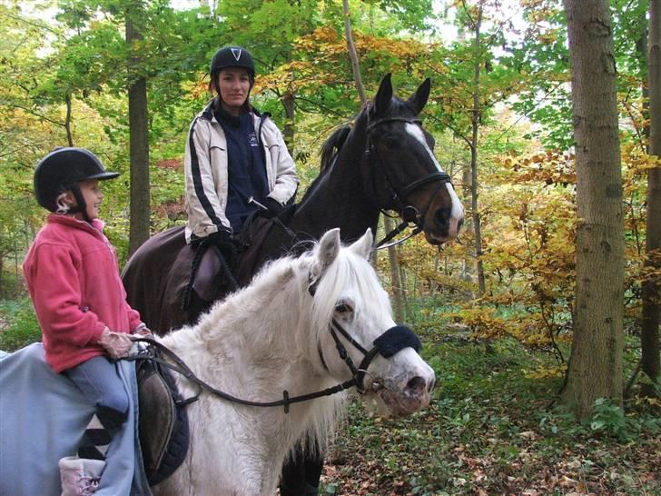 Anden særlig race Emil - R.I.P marts 2011 - Emil og Angel i skoven billede 14