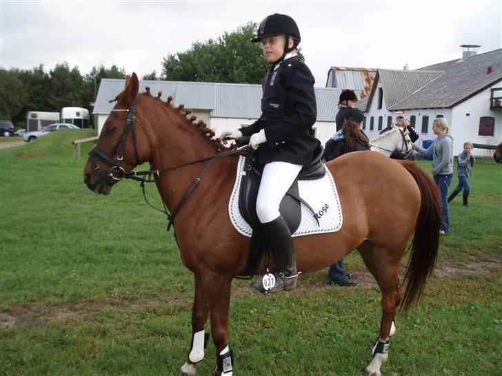 Anden særlig race Rose   - Rose og mig til stævne:-) billede 10