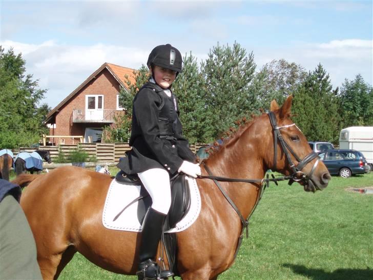 Anden særlig race Rose   - Rose og mig til stævne:-) billede 12