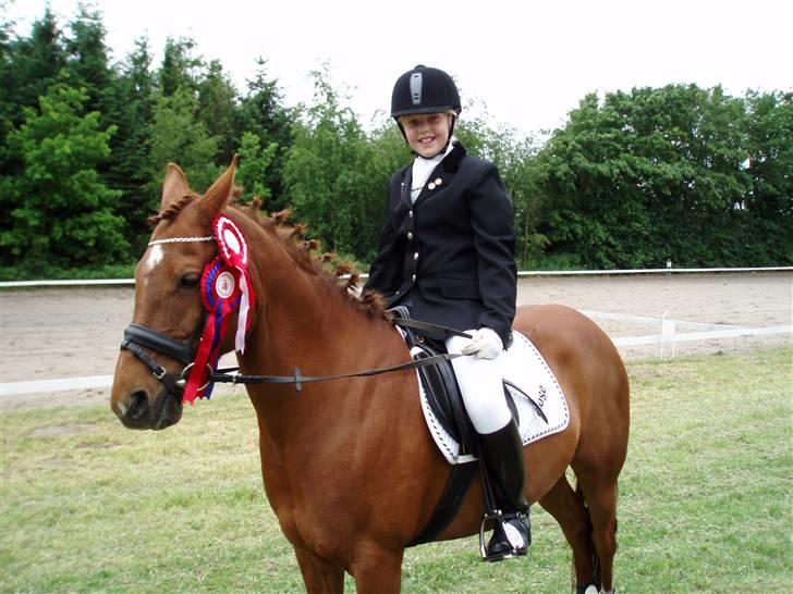 Anden særlig race Rose   - 2 Rosetter med hjem  billede 14