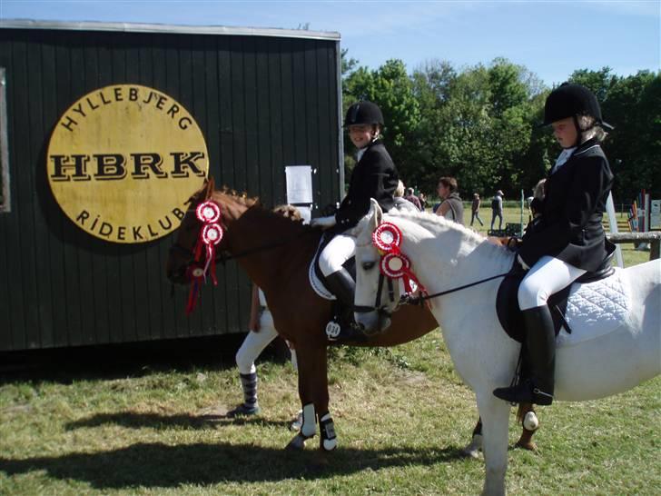 Anden særlig race Rose   - Rebecca Pedersen og mig til stævne i Hyllebjerg 2007 billede 15