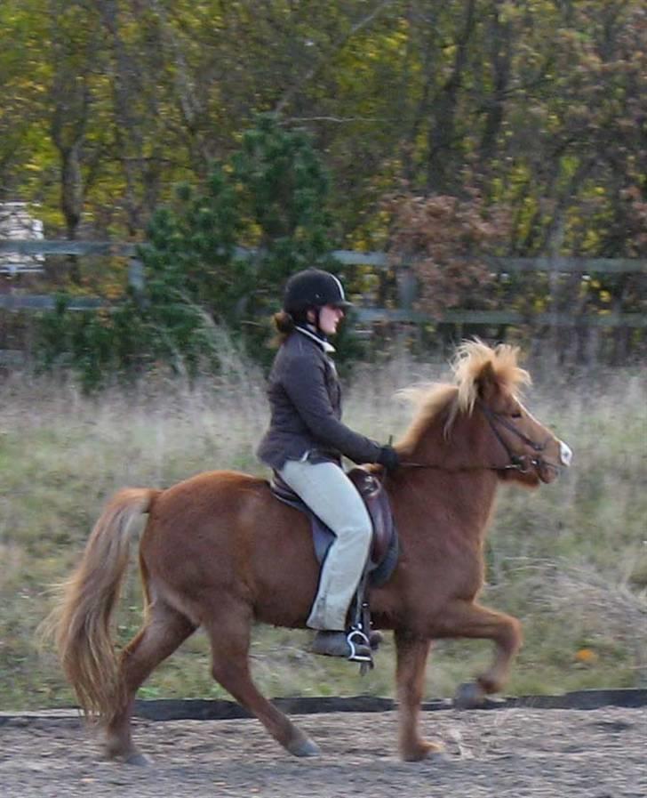 Islænder Assa fra Himlingøje - De to dejlige damer :D billede 12