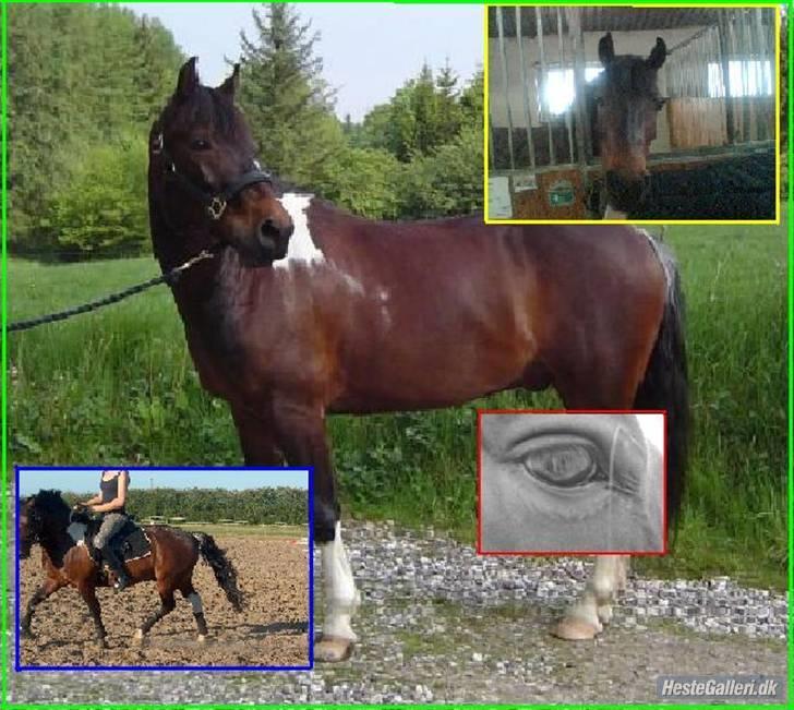 Anden særlig race Skouvgaardens Twisster - Lavet af : Nanna* AAHR: tusinden tak(; billede 13