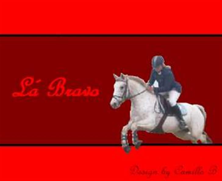 Knabstrupper  La`Bravo * solgt * billede 7