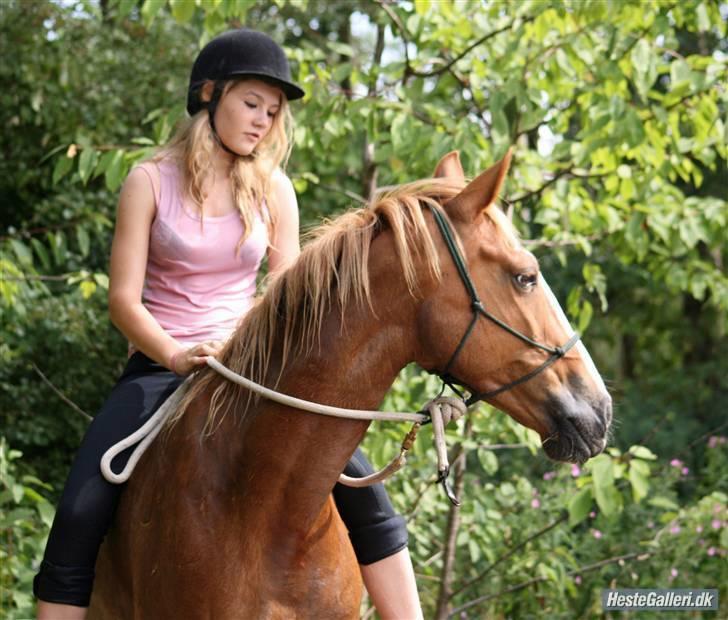 Anden særlig race Walk Of Fame *REST IN PEACE* - Fordi jeg elsker dig  <3 Foto: Vilsøe billede 13