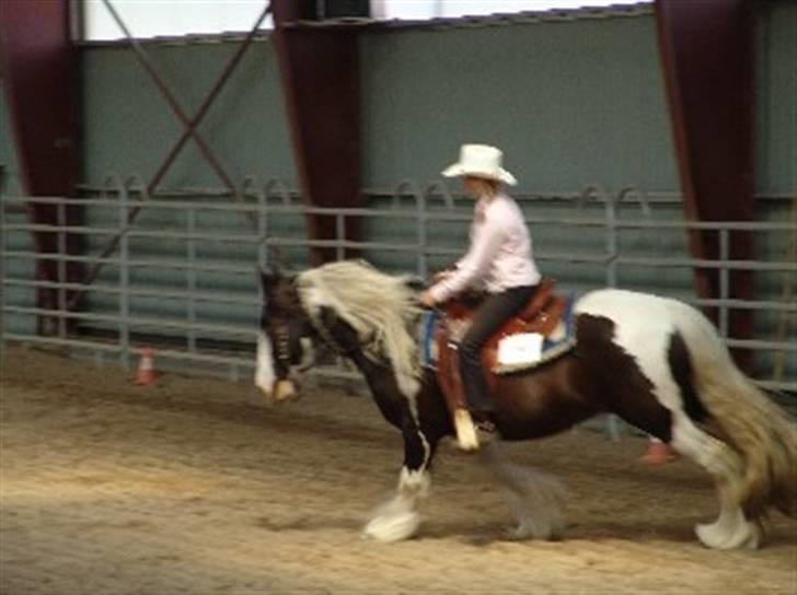 Irish Cob One Eyed Shannon - shannon og mig i reining billede 2