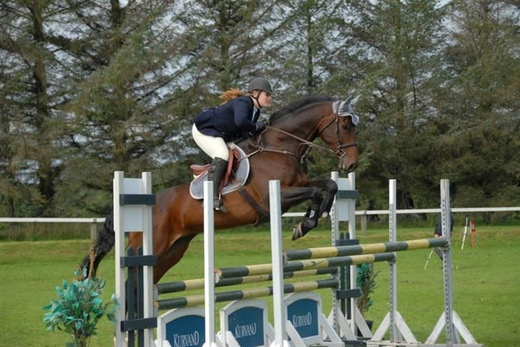 Dansk Varmblod Ofelia - Holdmesterskab billede 8