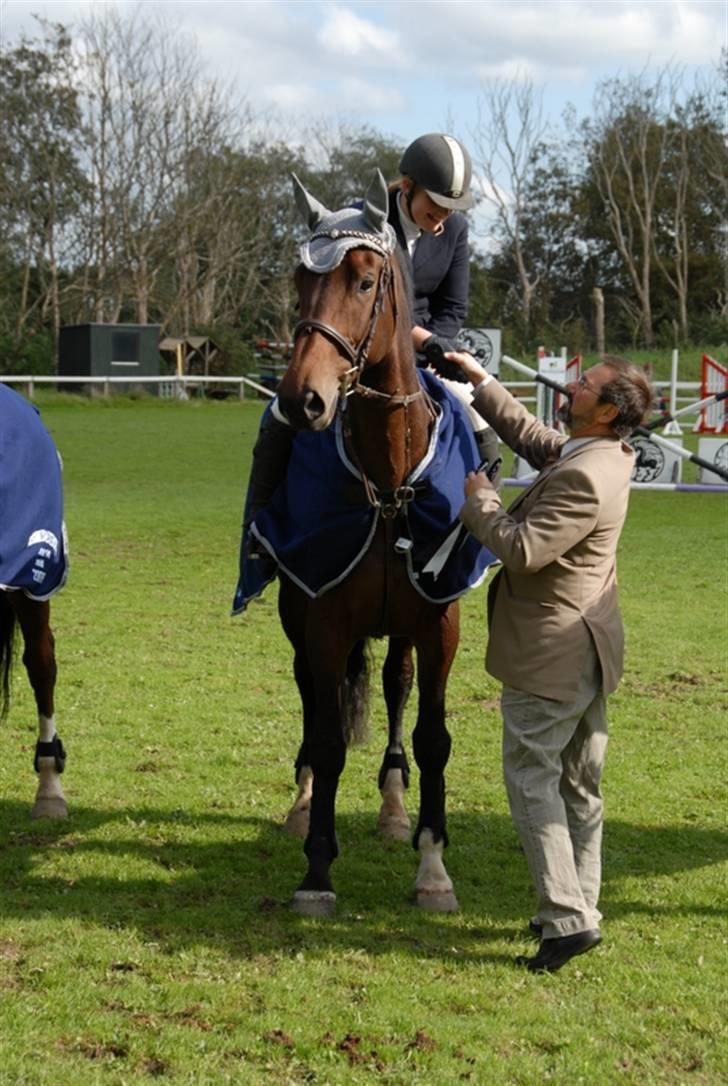 Dansk Varmblod Ofelia - Holdmesterskab billede 9