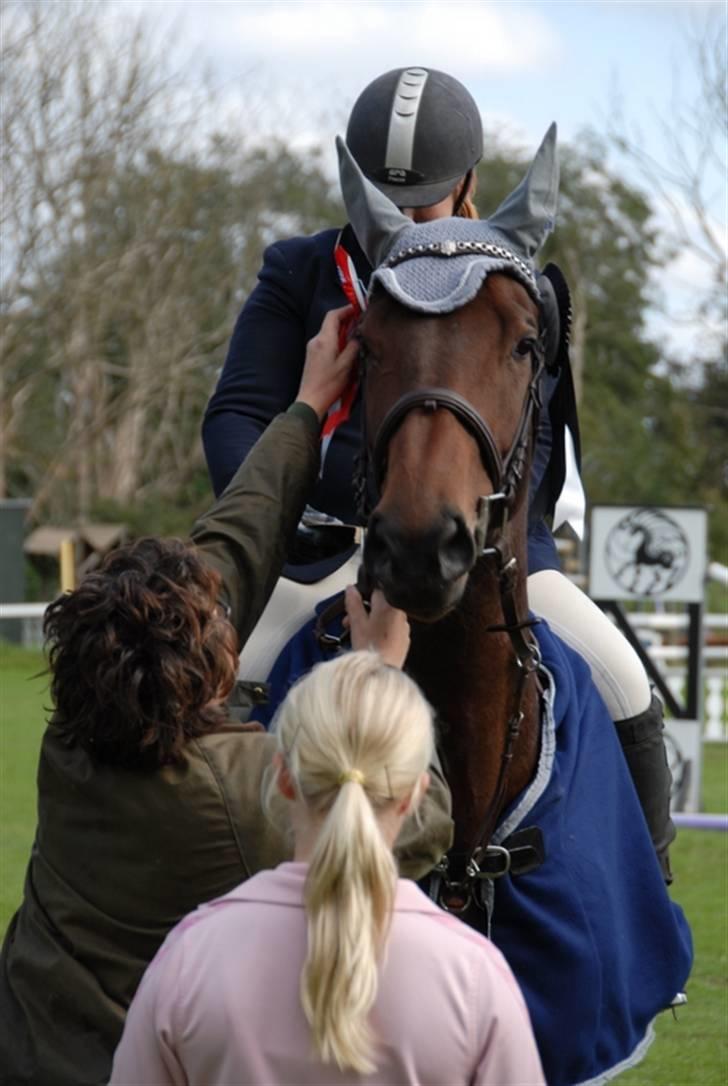 Dansk Varmblod Ofelia - Holdmesterskab billede 10