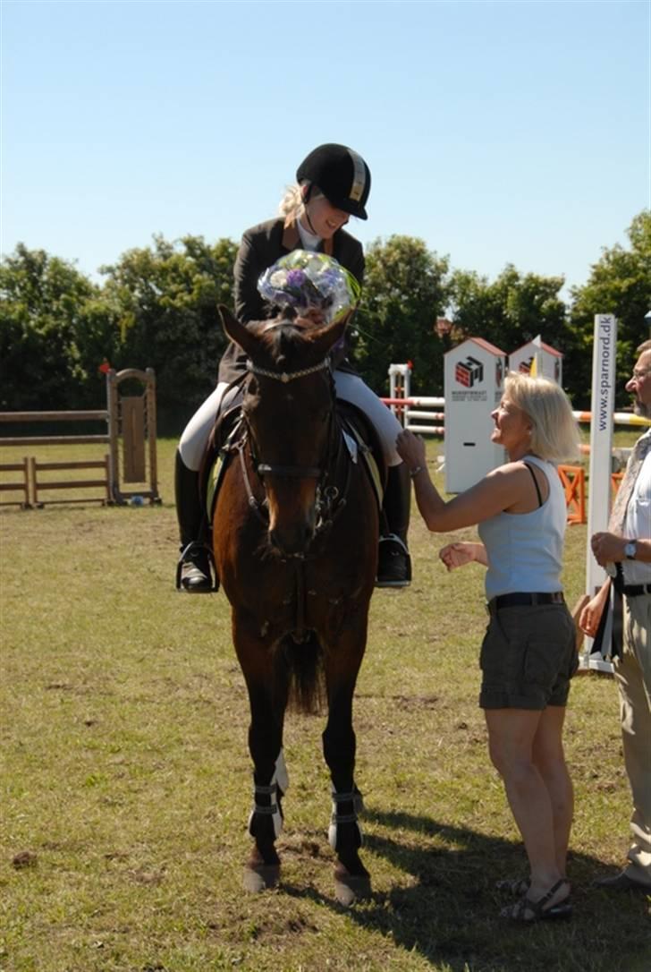 Tysk Oldenburger Leonardo 381 - Nr. 2 til holdmesterskab billede 9