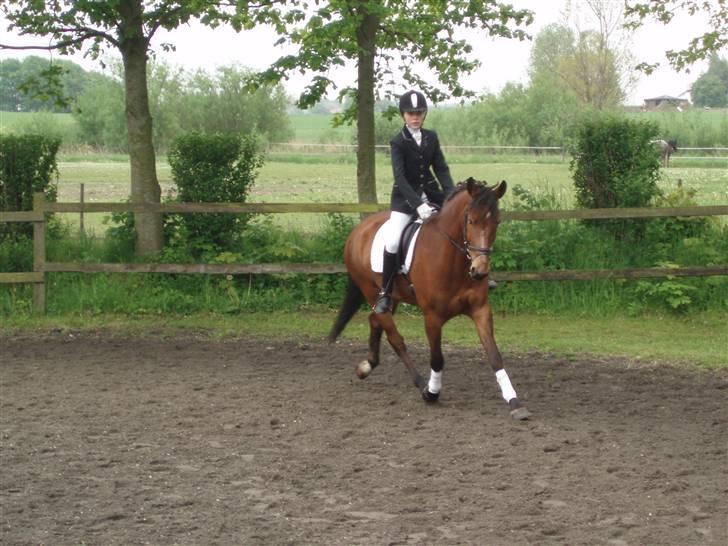 Anden særlig race Havana - :) Havana & jeg til stævne (: <3<3<3 billede 8