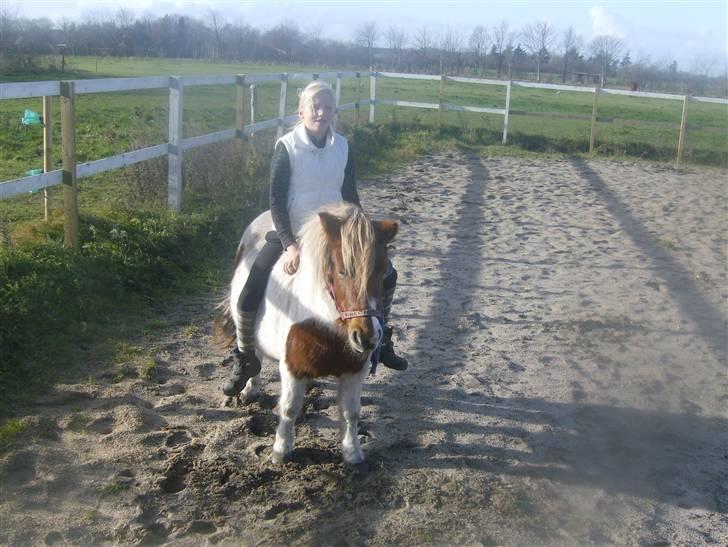 Anden særlig race sasha billede 1