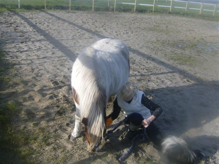 Anden særlig race sasha billede 4