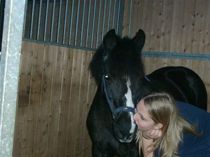 DSP Ca-pia *Død* <3 - Et kys til den smukke .. billede 8