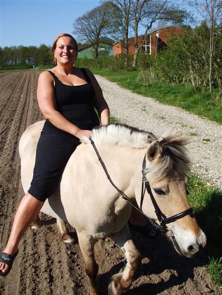 Fjordhest Delfine (R.I.P) † - nusse er bare det bedste :O) billede 4