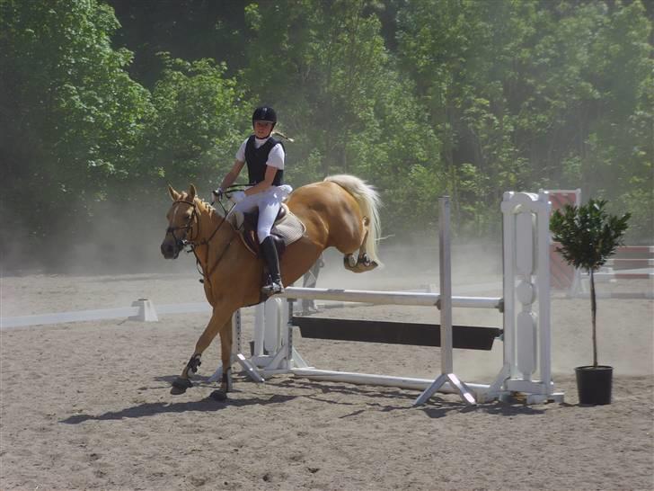 Anden særlig race                     Rain  - 20* Rain min<3 Jeg elsker dig Rain , og savner dig :´( billede 20