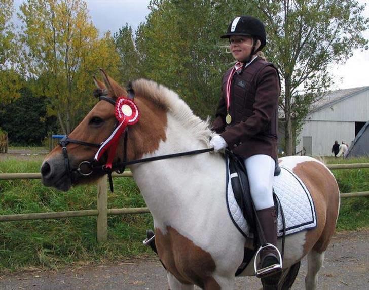 Anden særlig race Miss Zippi - Zippi til Klubmesterskabsstævnet sidste år (; <3 Altså 2007 :D <3 Hun er min smukke pony i; <3  billede 14
