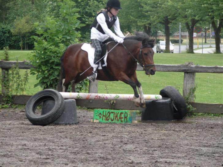 Anden særlig race pippi - hun kan da springe :-) billede 10
