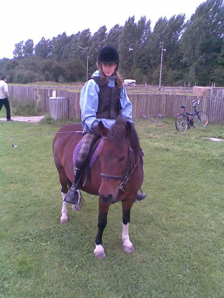 Anden særlig race pippi - Miqg der rider billede 12