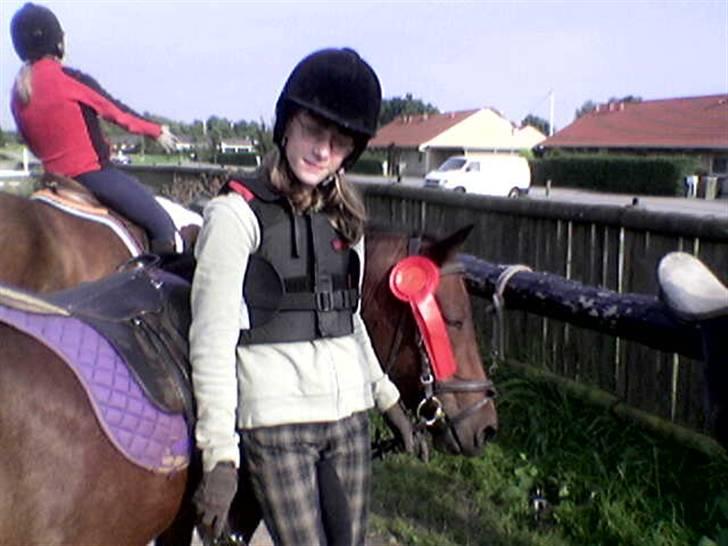 Anden særlig race pippi - jeg har vundet en 1plads på hende, og alle sagde at hun ikke kunne vinde, men så kunne de se at hun kunne billede 16