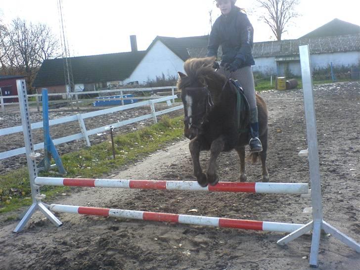 Anden særlig race Victor - Her springer vi ca 50-60 :D billede 8