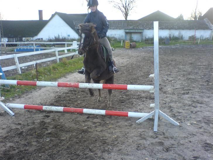 Anden særlig race Victor - her springer Line og Victor 70 det ser ikke højt ud men det er det og specielt for den lille pony :D billede 9