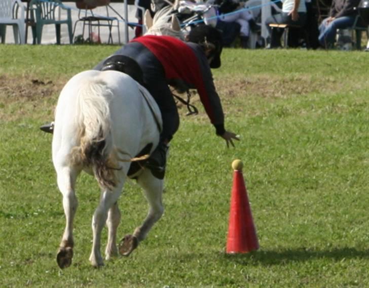 Pinto Cirkeline - Mig og Cirkeline leger hilo. billede 8