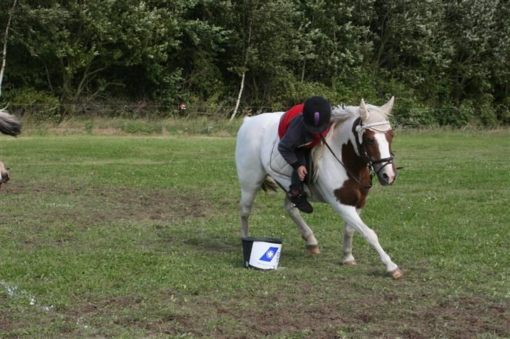 Pinto Cirkeline - Mig og Cirkeline leger Carton Race. billede 12