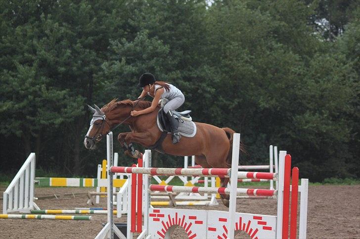 Anden særlig race Bibi  <3  - Bibi & jeg springer 140cm.  billedet er taget af CSJ  billede 4