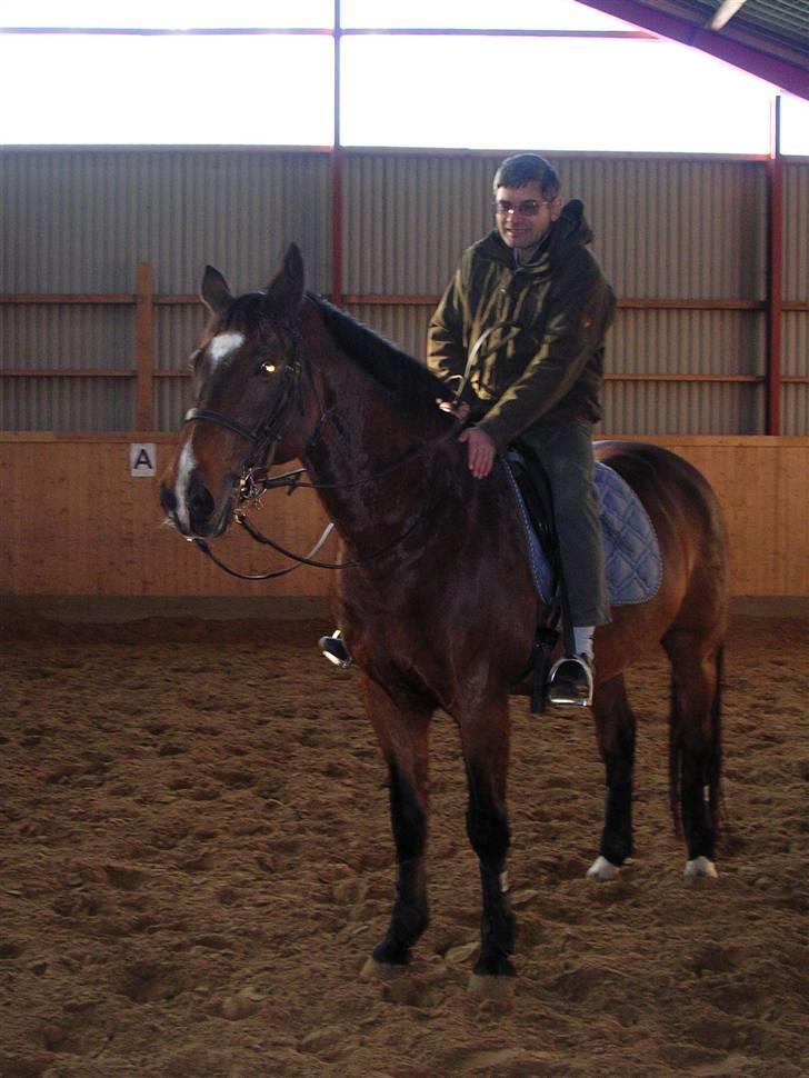 Dansk Varmblod Ledets Athos (aflivet) - Athos giver min far en skridt af- tur billede 2