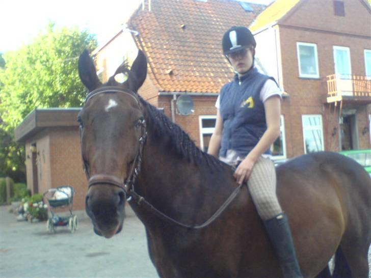 Oldenborg Rexido - En af hans glade dage på ridelejeren (Foto: Mobil {Laura}) billede 4