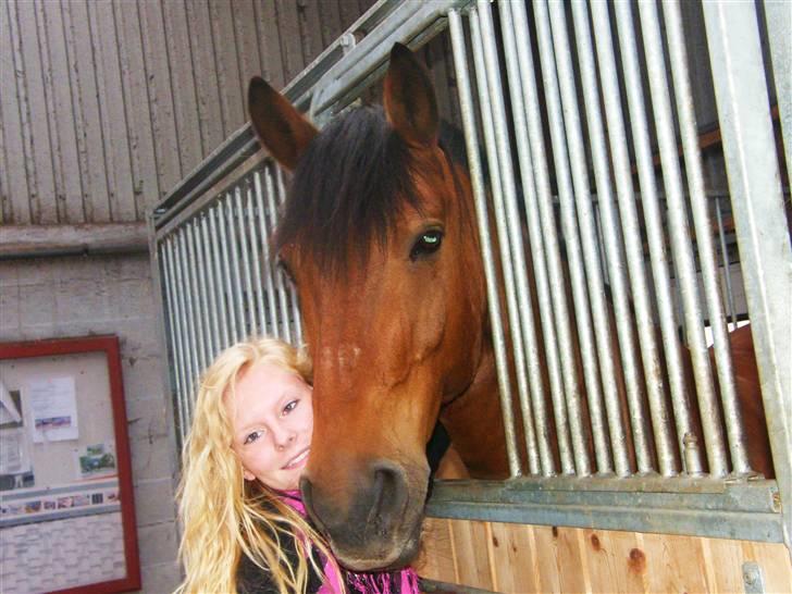 Anden særlig race Cheval Solgt - d.18.06.09  billede 4