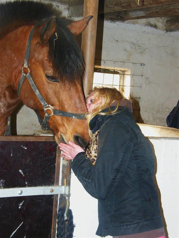 Anden særlig race Cheval Solgt - Gensynsmøde d.02.03.10 billede 5