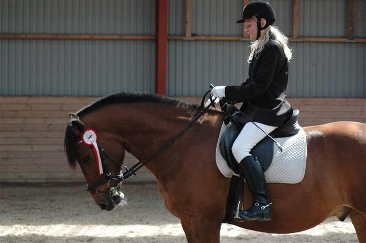 Anden særlig race Cheval Solgt - Springstævne! 23 Maj 2009 billede 6