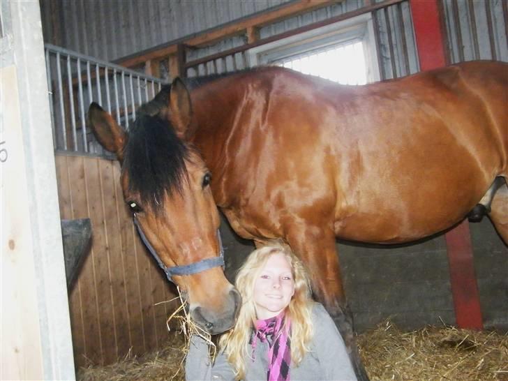 Anden særlig race Cheval Solgt - d. 14 Maj 2009 billede 10