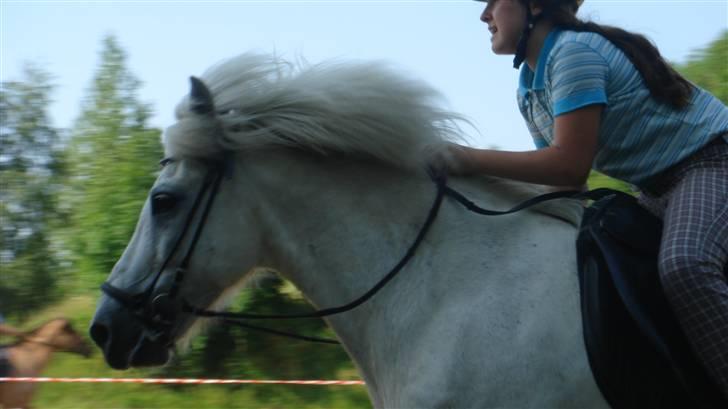 Islænder sindri fra gl.ladegård - se lige ham og mig vi flyver afsted som vinden<3 billede 1