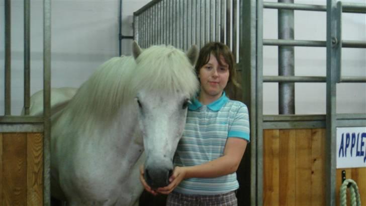 Islænder sindri fra gl.ladegård - så er mig og sindri på ridelejre, på langeland se er han ik fin<3 billede 3