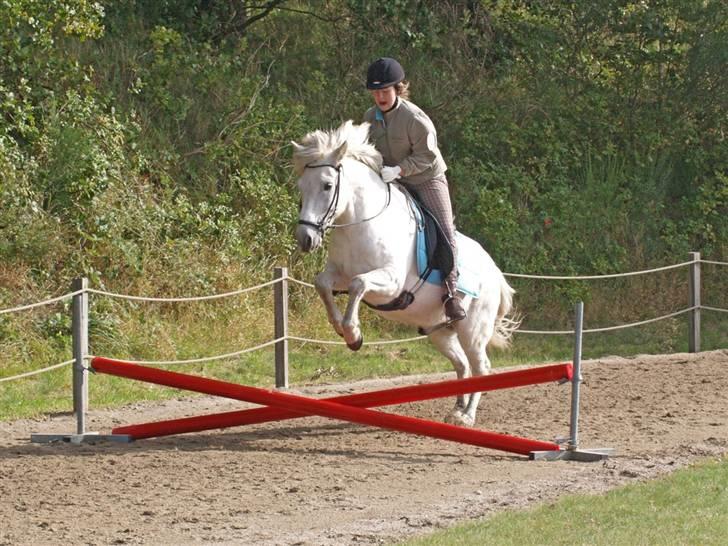 Islænder sindri fra gl.ladegård - mit yndlings billede<3 se vi flyver jo helt o_O over det spring billede 4