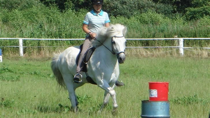 Islænder sindri fra gl.ladegård - ponygames på langeland wiiiii!<<3 billede 5