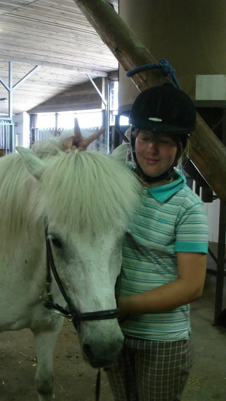 Islænder sindri fra gl.ladegård - elsker at lave kanin øre på den lille sindri billede 6