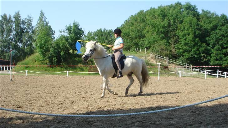 Islænder sindri fra gl.ladegård - vi er mester fiskere!!!!!wuuuhuuuu!!!! billede 8