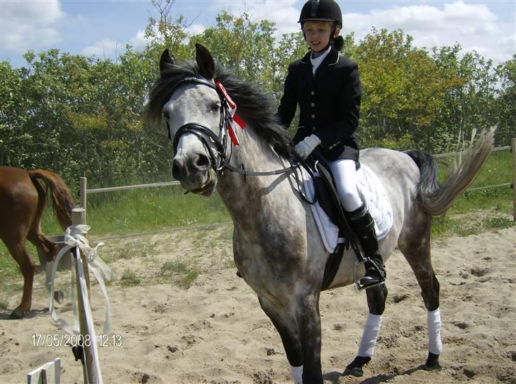 Sportsaraber (A) Silvado - silver *NYT* billede 1
