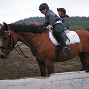 DSP kaschiwa  #solgt#