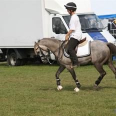 Anden særlig race solgt:(