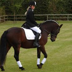 Anden særlig race Mr. smokie'  Mit Et & Alt