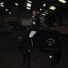 New Forest SOLGTBrentebjergs Toshiba