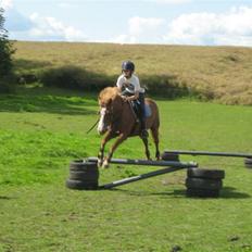 Anden særlig race Rosita solgt :´(  