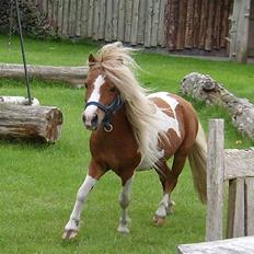 Miniature Superman Fra Supersesse