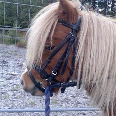 Miniature Superman Fra Supersesse